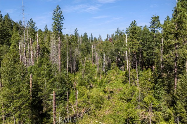 Detail Gallery Image 8 of 23 For 0 Tranquility/Skyway, Magalia,  CA 95954 - – Beds | – Baths