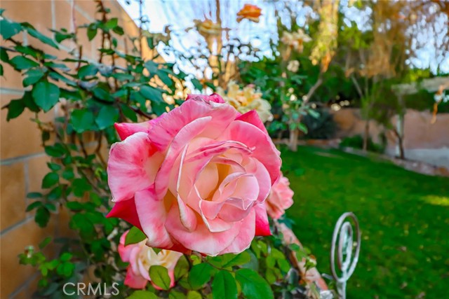 Detail Gallery Image 48 of 52 For 3223 Shepherd Dr, Camarillo,  CA 93010 - 4 Beds | 3 Baths