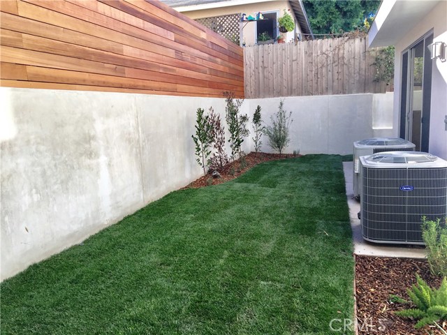 Grassy Backyard.