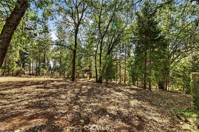 Detail Gallery Image 55 of 75 For 10202 Cohasset Rd, Chico,  CA 95973 - 3 Beds | 2 Baths