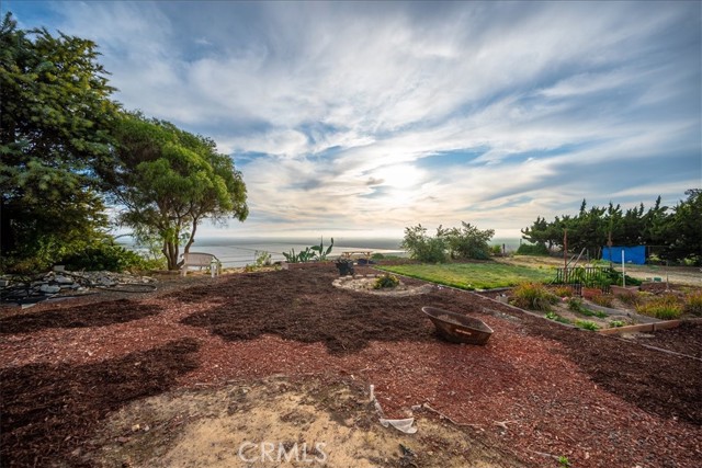 1561 Cielo Lane, Nipomo CA: https://media.crmls.org/medias/c2fd46fb-9bb5-44a5-9dcb-f244ea7e0407.jpg