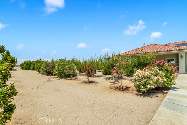 Detail Gallery Image 4 of 73 For 3002 Estero Rd, Pinon Hills,  CA 92372 - 4 Beds | 3/1 Baths