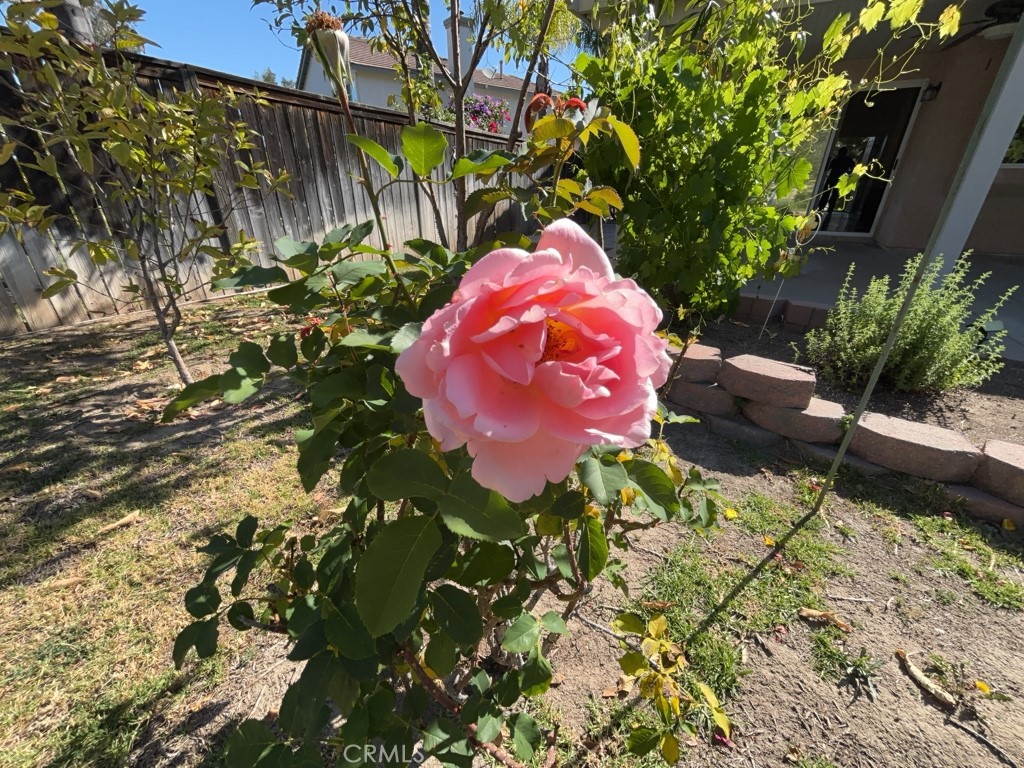 https://media.crmls.org/medias/c2ff2960-13bb-4c9d-9dbc-4a8c3baecf1d.jpg?preset=X-Large
