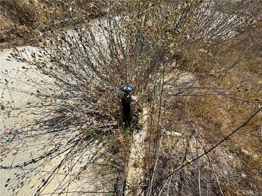 MLS #IV25178110 image #15