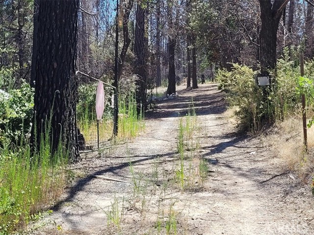 1 Bald Rock Road, Berry Creek, CA, 95916 1 Bald Rock Road, Berry Creek, CA, 95916