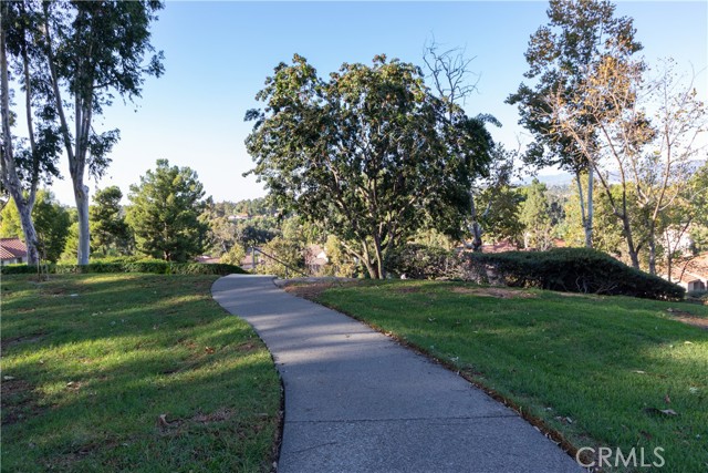 C3162dca 6c8d 46e5 Baaa 95a61639ef02