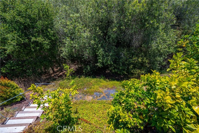 317 Sunrise Terrace, Arroyo Grande CA: https://media.crmls.org/medias/c31640de-26b0-4f24-9cb4-93edb013d3d5.jpg