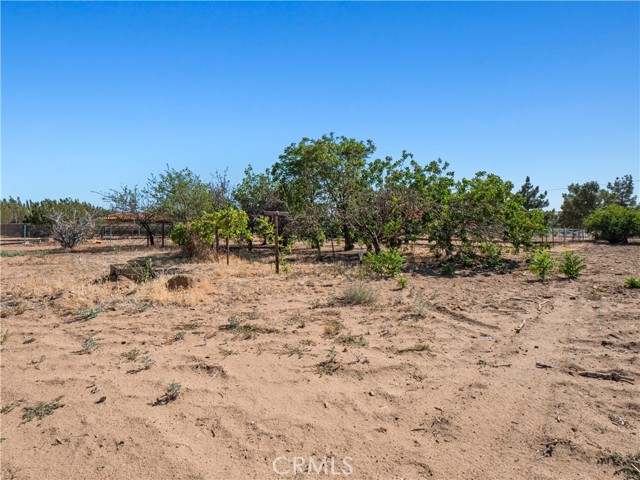 2350 W Avenue N12, Palmdale CA: https://media.crmls.org/medias/c31f11d4-2039-45f4-9e9d-adb4a4f28aa2.jpg