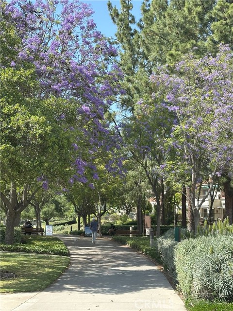 25 Picazo, Rancho Santa Margarita CA: https://media.crmls.org/medias/c329b437-878b-4e76-b3b5-2b260fd10e33.jpg