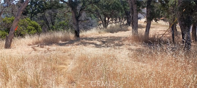 Detail Gallery Image 7 of 12 For 10312 Crestview, Clearlake,  CA 95424 - – Beds | – Baths