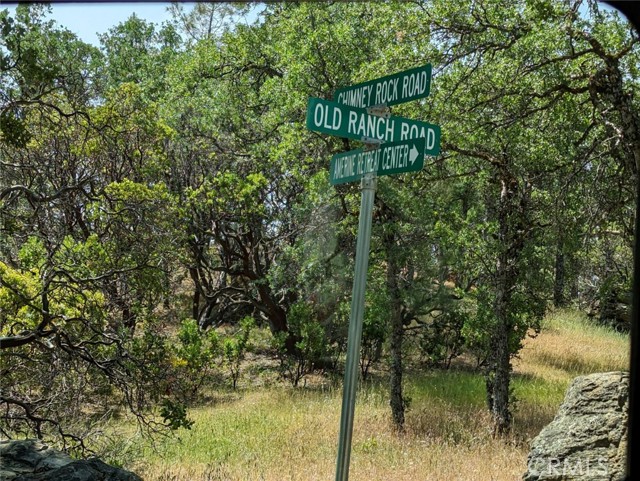 23485 Morgan Valley Road, Lower Lake, California 95457, ,Land,For Sale,23485 Morgan Valley Road,CRLC23086905