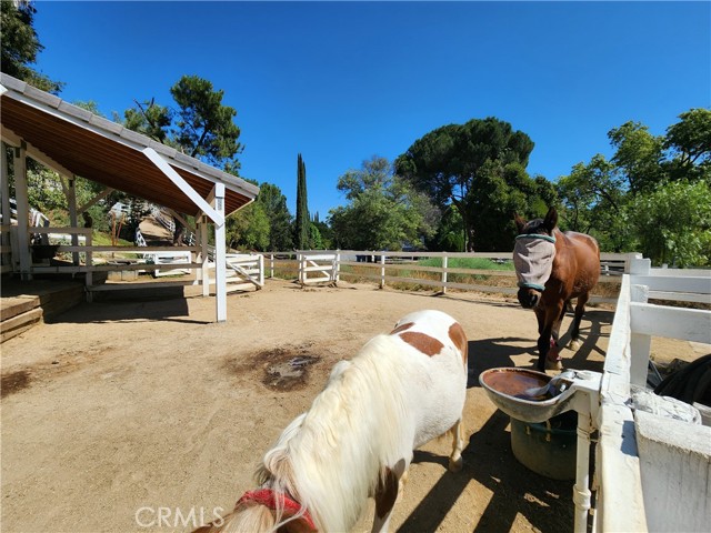 Detail Gallery Image 22 of 27 For 23747 Oakfield Rd, Hidden Hills,  CA 91302 - 5 Beds | 3/1 Baths