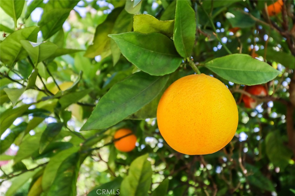 https://media.crmls.org/medias/c334bab6-2596-4fc3-95df-d0d0e85a2914.jpg?preset=X-Large