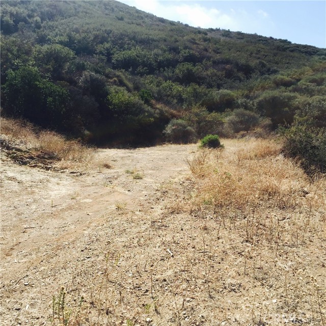 11900 Yerba Buena Road photo 4
