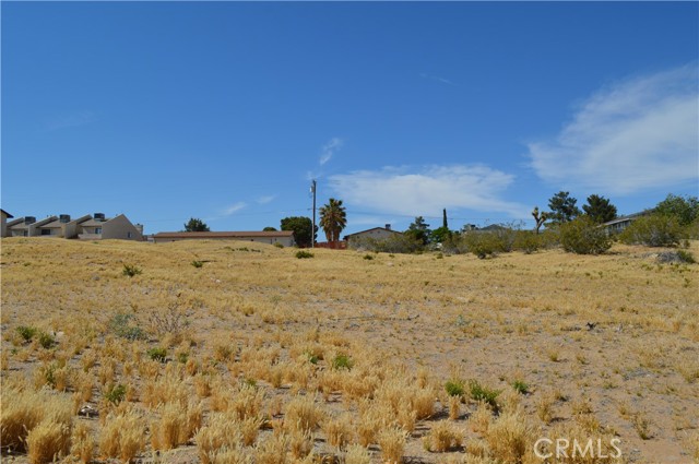 0 Outter HWY, Apple Valley, California 92307, ,Land,For Sale,0 Outter HWY,CREV24113027