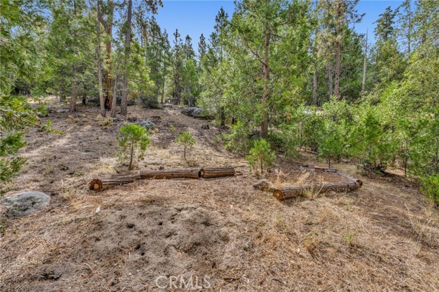 Detail Gallery Image 14 of 31 For 52555 Idyllmont Rd, Idyllwild,  CA 92549 - 2 Beds | 1/1 Baths