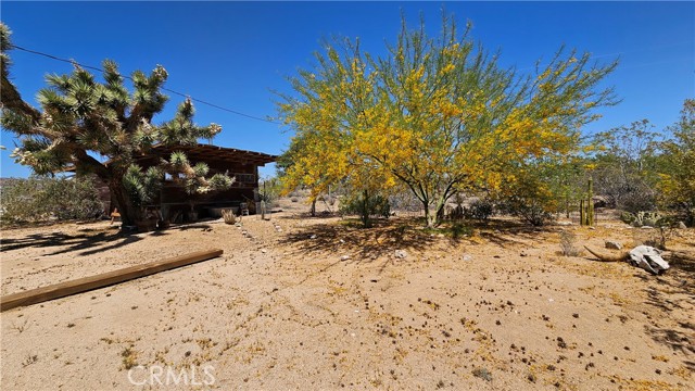 Detail Gallery Image 10 of 39 For 1240 Geronimo Trl, Yucca Valley,  CA 92284 - 1 Beds | 1 Baths