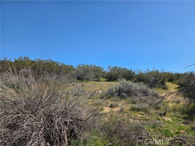 Detail Gallery Image 8 of 14 For 0 Pony Trail, Anza,  CA 92539 - – Beds | – Baths