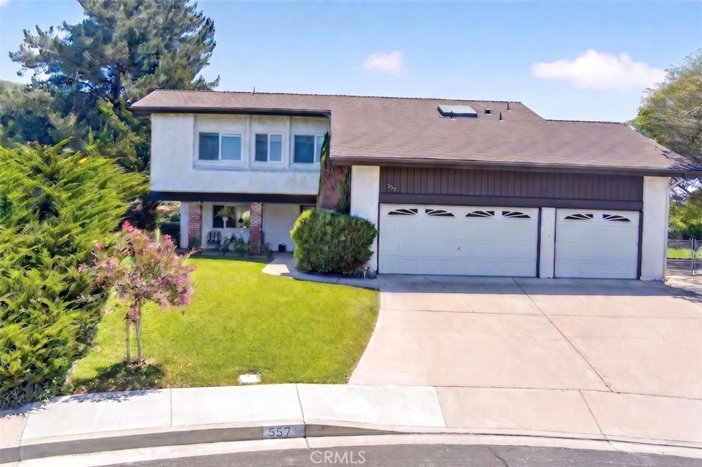 557 Calor Drive