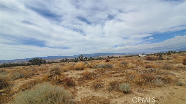 0 Vicinity Kingbird & 243rd St W, Rosamond, California 93560, ,Land,For Sale,0 Vicinity Kingbird & 243rd St W,CRSR23155108