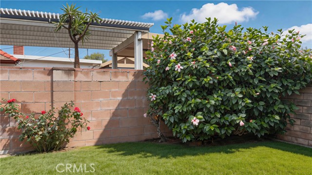528 Essex photo 52