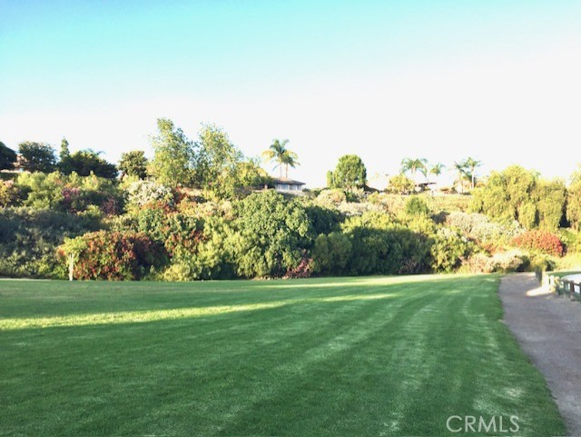 132 N Avenida Alipaz, Walnut CA: https://media.crmls.org/medias/c353e497-9bc2-4ce8-9f8b-47564686fb75.jpg