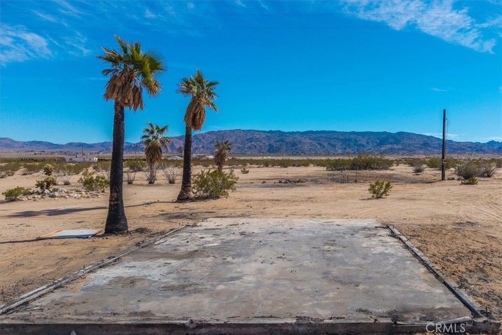 MLS #JT25029805 image #22