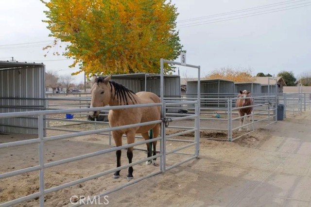 Detail Gallery Image 15 of 23 For 27160 Vista #43,  Helendale,  CA 92342 - 2 Beds | 2 Baths