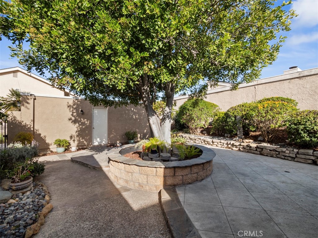 C36aad60 Db4f 4cd1 999b 0c650861bd0a