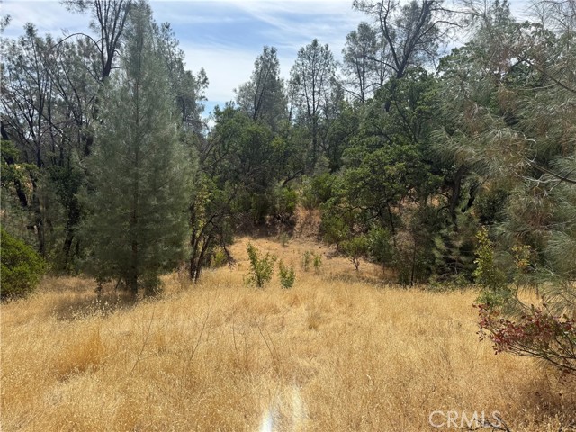 Details for 16295 Hillcrest Drive, Corning, CA 96021