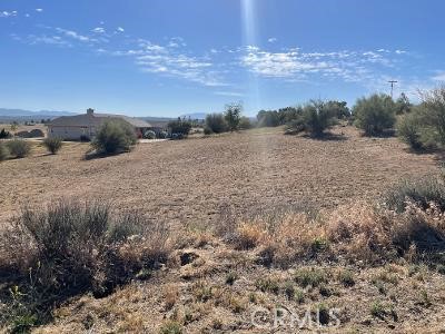 49011 Hwy 371, Aguanga, California 92536, ,Land,For Sale,49011 Hwy 371,CRSW23191236