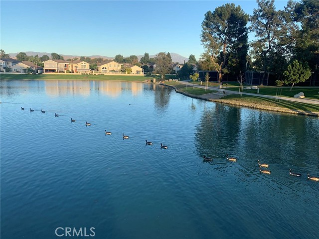 Detail Gallery Image 48 of 51 For 49 Thicket, Irvine,  CA 92614 - 3 Beds | 2 Baths