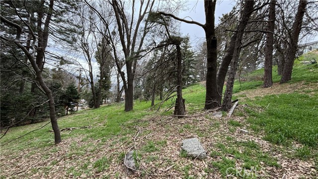 Front Image Thumbnail for CRHD26168507