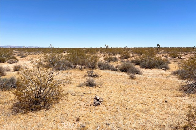 Detail Gallery Image 6 of 10 For 0 Willie Way, Joshua Tree,  CA 92252 - – Beds | – Baths