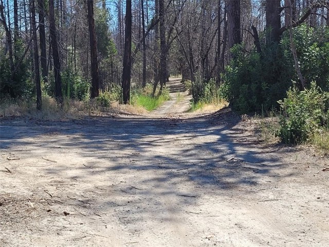 1 Bald Rock Road, Berry Creek, CA, 95916 1 Bald Rock Road, Berry Creek, CA, 95916