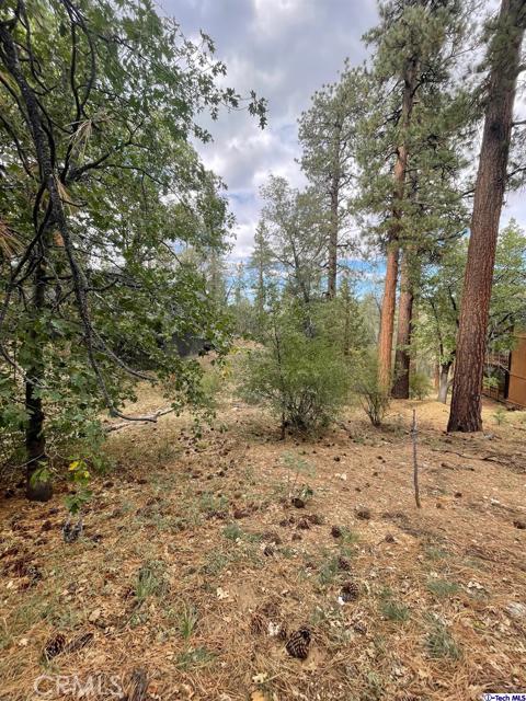 600 Travertine Road, Big Bear City, California 92314, ,Land,For Sale,600 Travertine Road,CRGD24038004