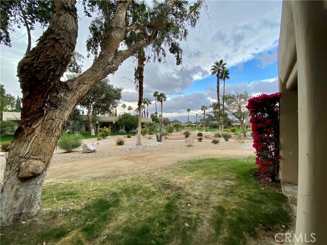 Image 7 for 67175  N Chimayo DR