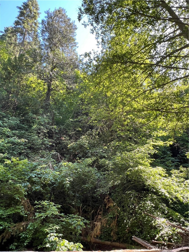 https://media.crmls.org/medias/c394b35d-3f47-4242-ad83-3ca1ccaf5e2b.jpg?preset=X-Large