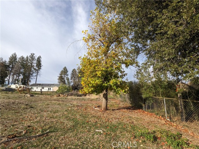 6642 Whittall Lane, Paradise, California 95969, ,Land,For Sale,6642 Whittall Lane,CRSN23205819