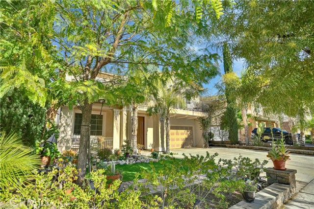 Front Image Thumbnail for CRSR26023567