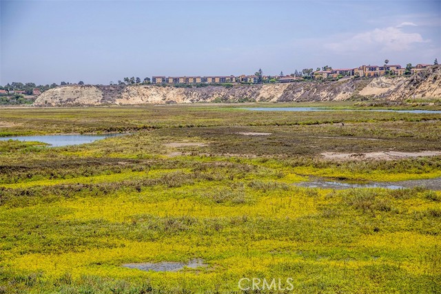 Detail Gallery Image 52 of 53 For 2616 Willo Ln, Costa Mesa,  CA 92627 - – Beds | – Baths