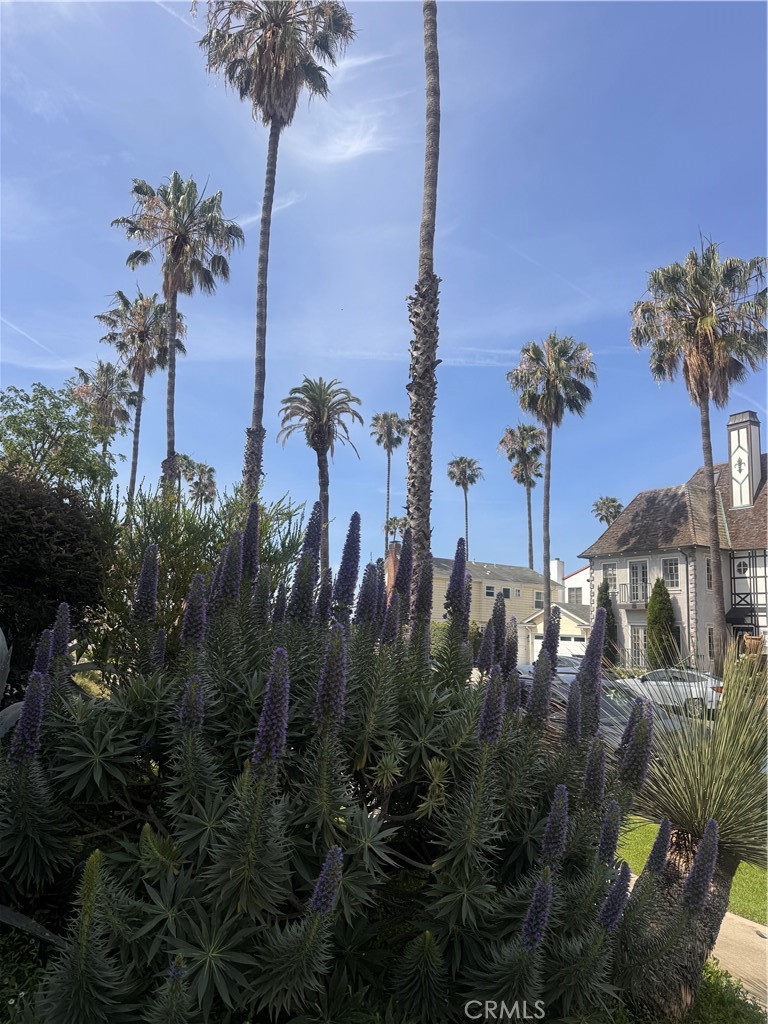https://media.crmls.org/medias/c39cfca5-aa59-403d-9279-61be0eb620a6.jpg?preset=X-Large