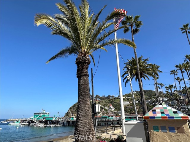 Detail Gallery Image 22 of 35 For 352 354 Eucalyptus, Avalon,  CA 90704 - – Beds | – Baths