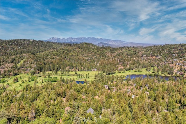 Detail Gallery Image 30 of 40 For 430 Rainier Rd, Lake Arrowhead,  CA 92352 - 4 Beds | 2/1 Baths