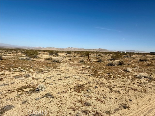 Details for 14 Datura Terrace, Johnson Valley, CA 92285