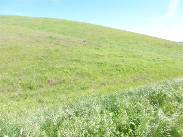 Detail Gallery Image 29 of 42 For 0 Douglas Rd. (Lot 42), San Miguel,  CA 93451 - – Beds | – Baths