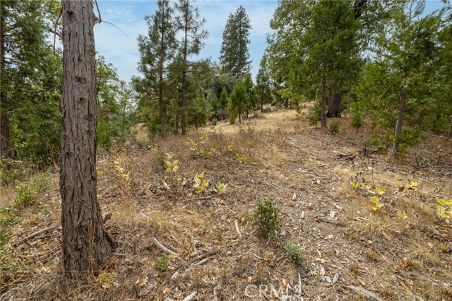 Detail Gallery Image 52 of 55 For 26 Timberview, North Fork,  CA 93643 - – Beds | – Baths