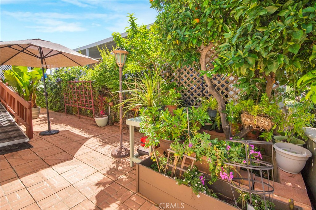 10771 Black Mountain Road - photo 6