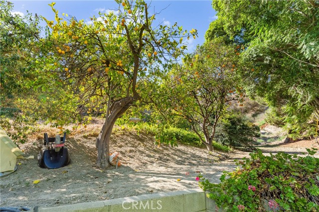 Detail Gallery Image 46 of 59 For 171 Canada Sombre Rd, La Habra Heights,  CA 90631 - 4 Beds | 3 Baths