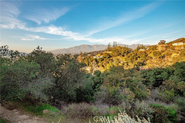 1 Bayberry Drive photo 7